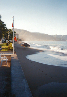 Puerto Vallarta: Pelicanos: The Wall! Click here!